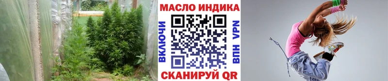 omg ссылка  Карачаевск  Дистиллят ТГК THC oil 