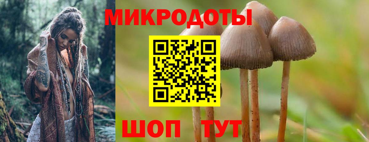 Галлюциногенные грибы Psilocybe  Псилоцибиновые грибы мицелий  Карачаевск  Вход с VPN 